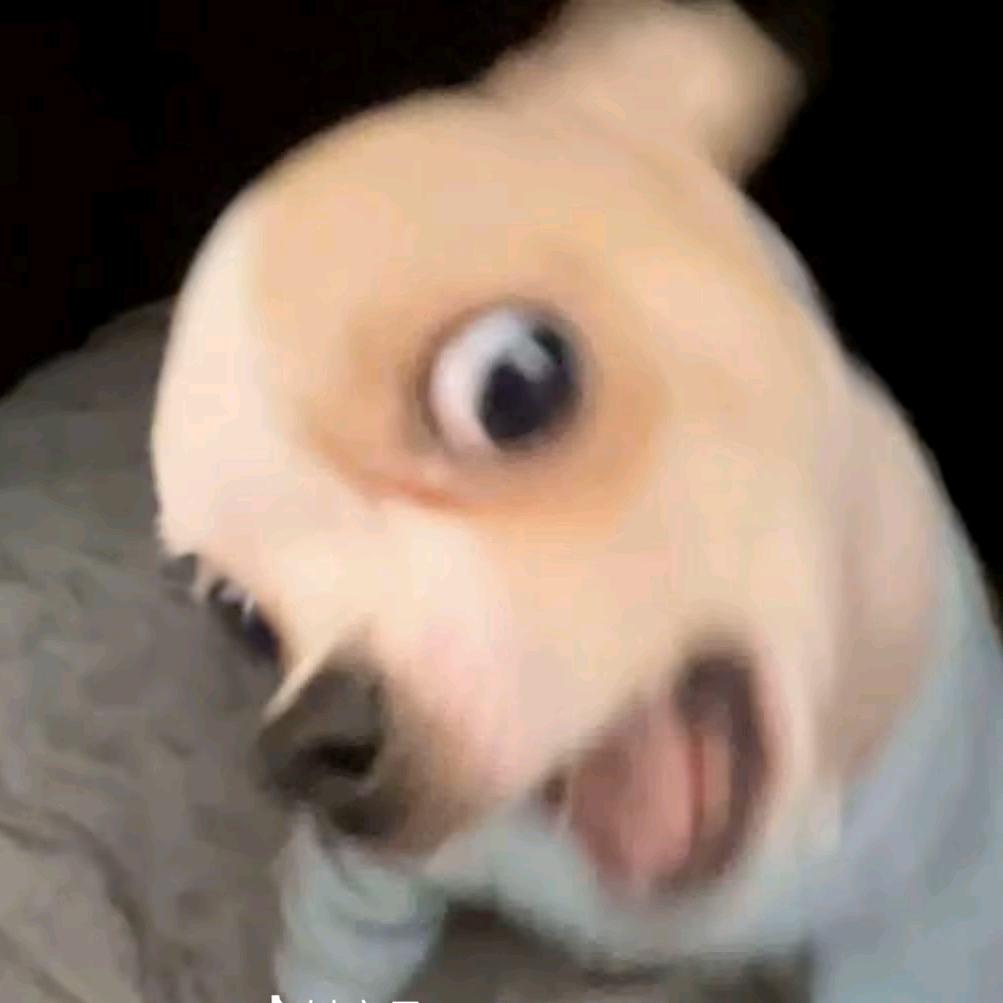 zzzz