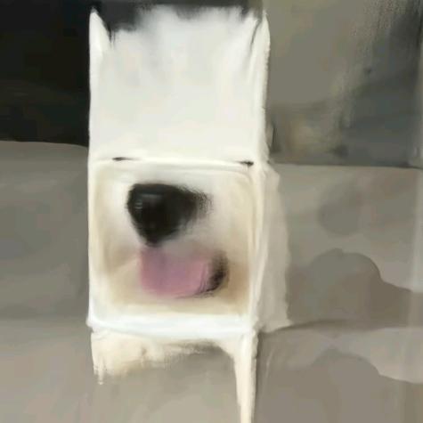 梵高不绘梵🎨