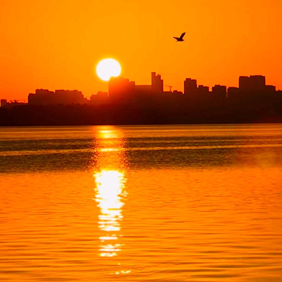 沽酒