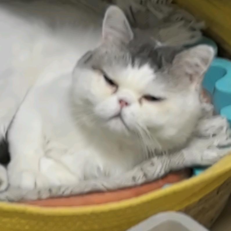 眼线