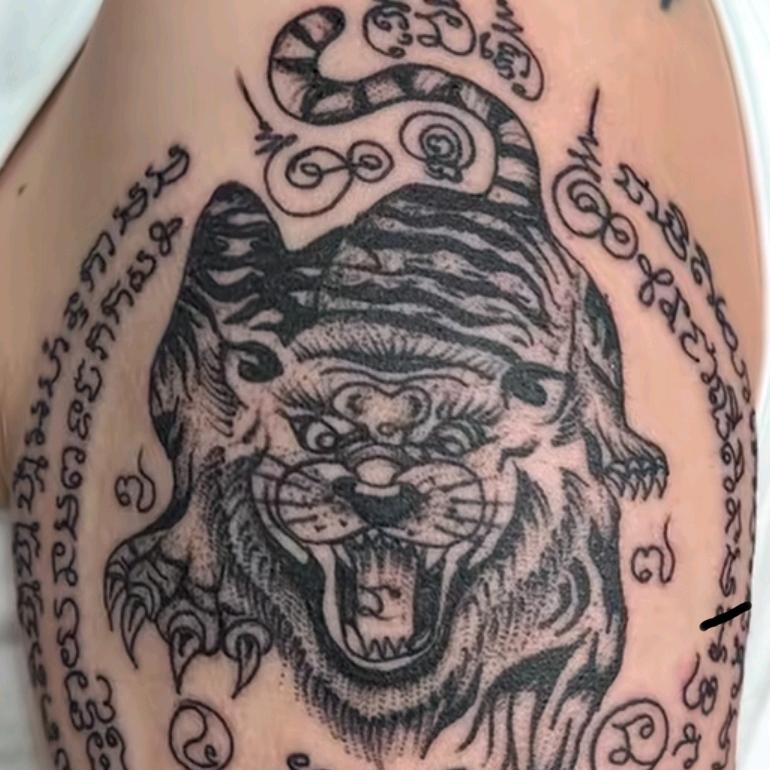 不吃余的猫