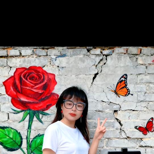 ☘️小姐姐☘️