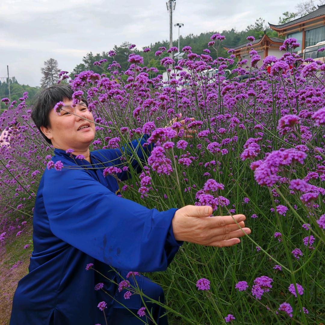 向师傅棉絮加工厂