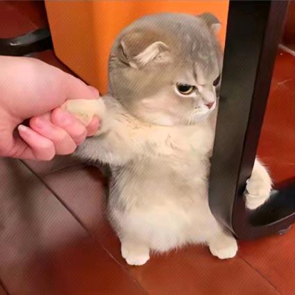生闷气