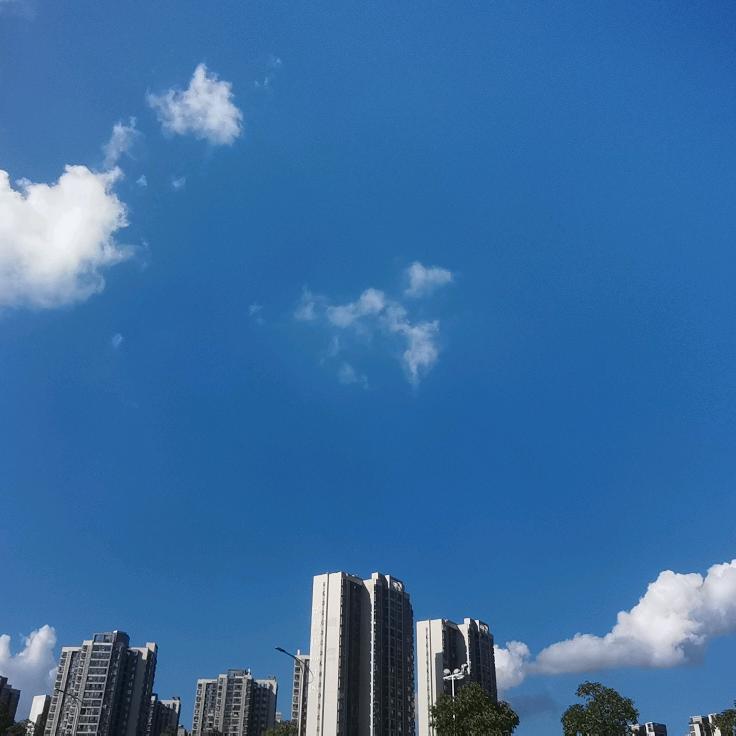贵州茂哥