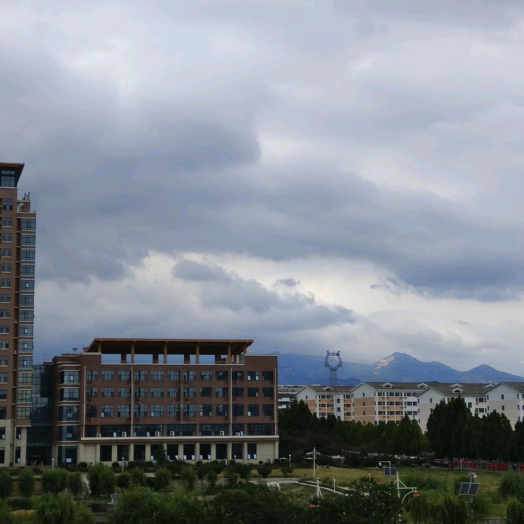 力明升学规划张老师