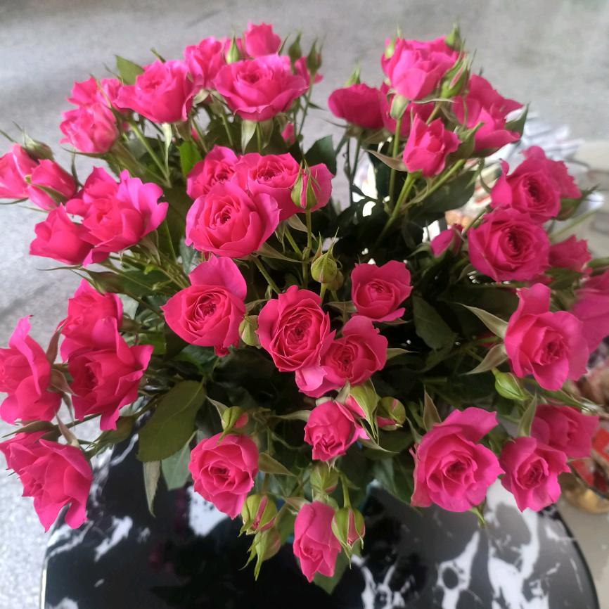 今天明天后天，，，