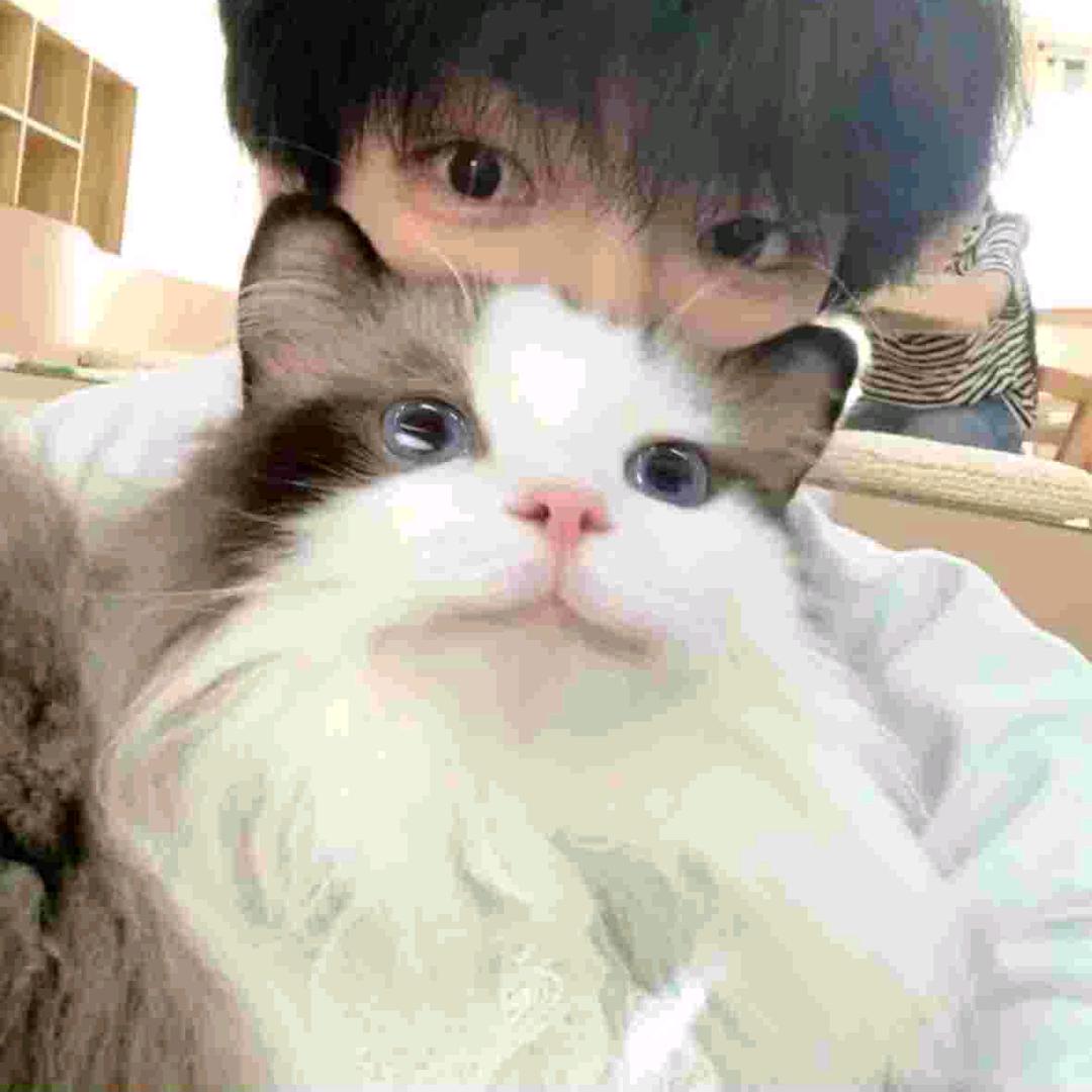 千秋..