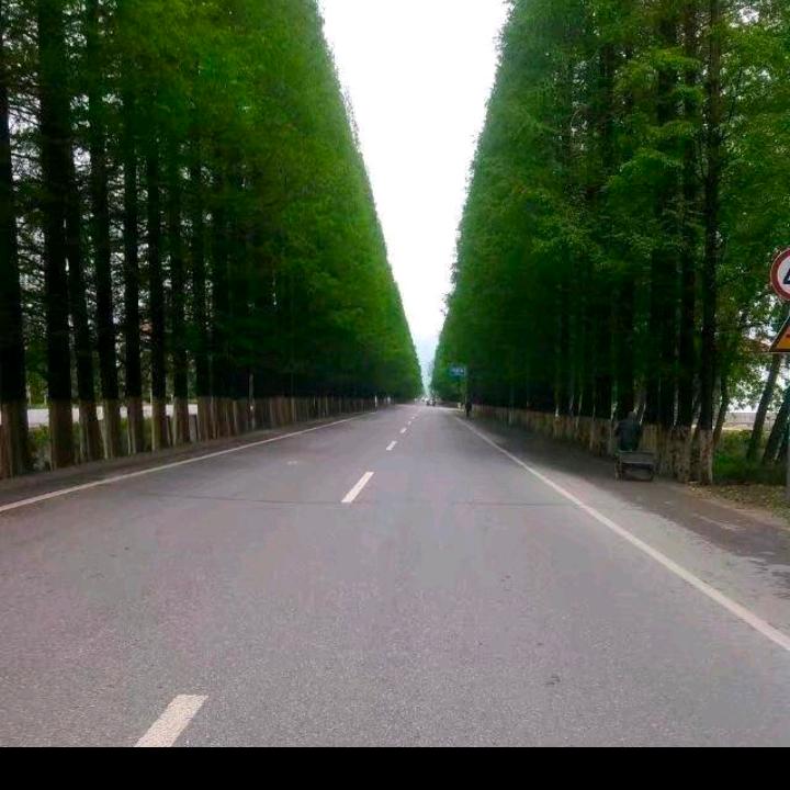 马兰
