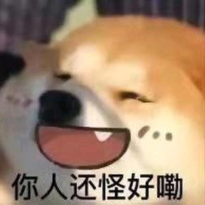 好想睡觉