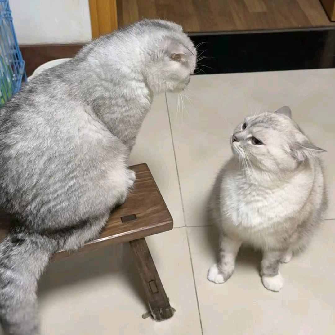 一休Mom👩