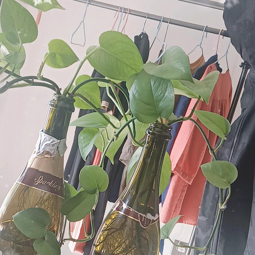 洋洋家时尚女装