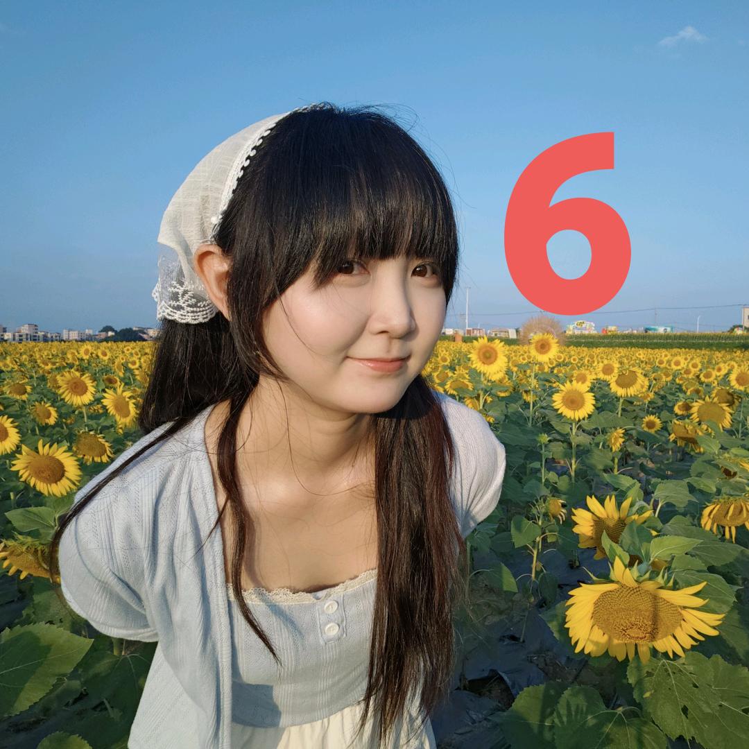杨圆圆