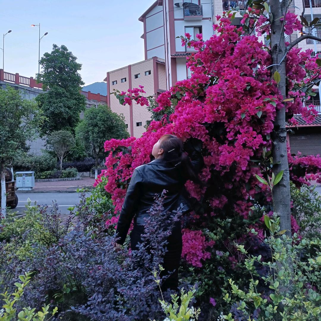 王三妹（家乡美乐队）