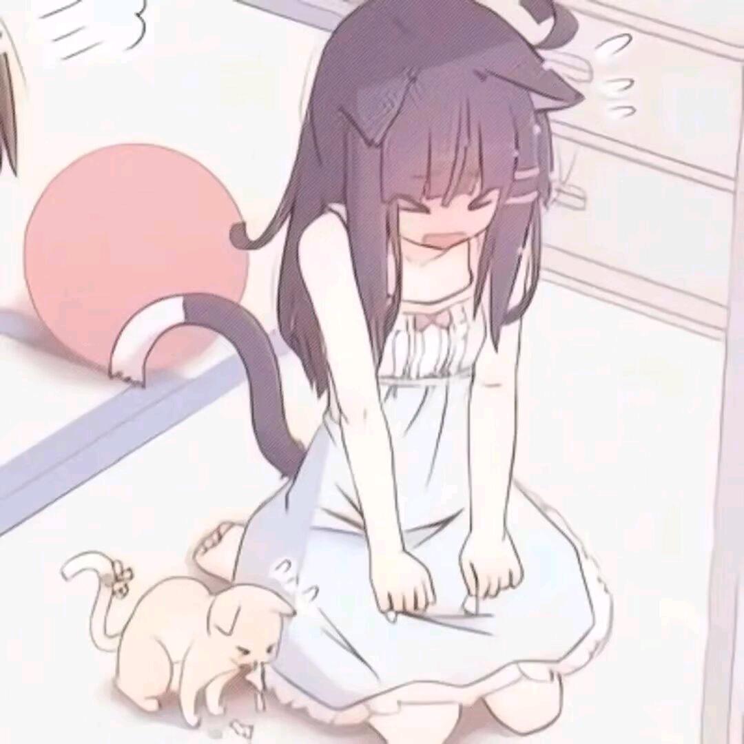 小猫碎碎念⌯'Ⱉ'⌯