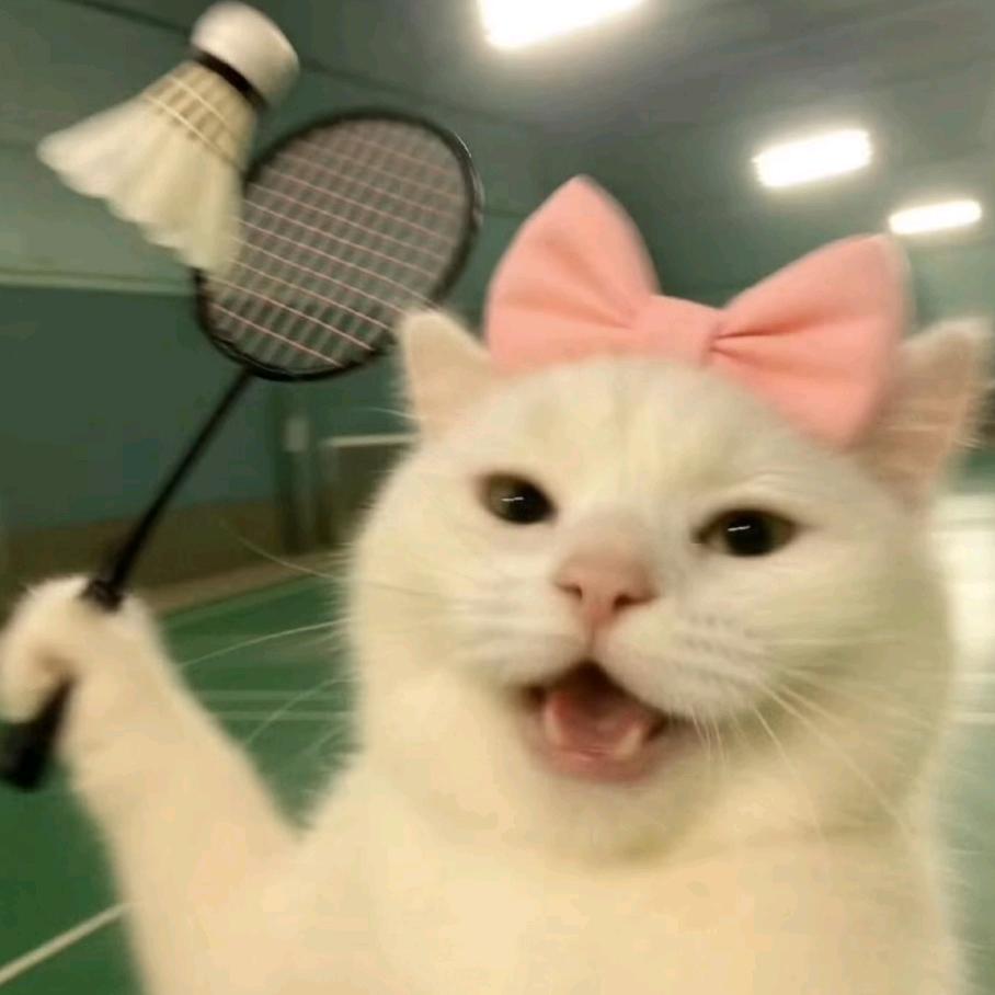 刘亦菲（学习版）