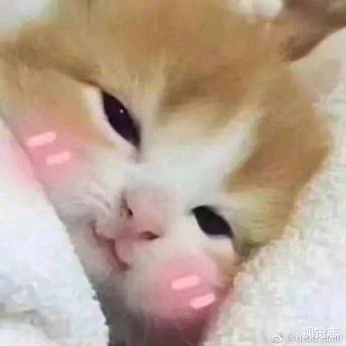 曹小灿