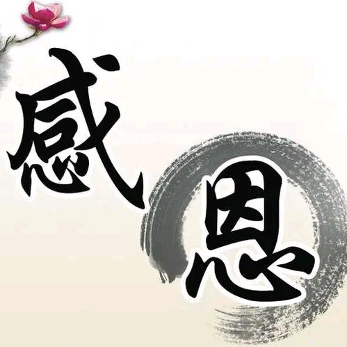 146837809
