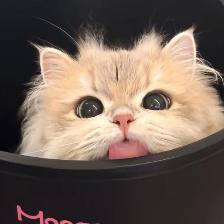 深深