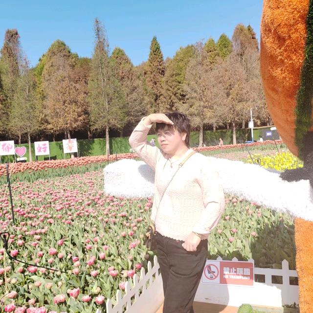 手撕鸡