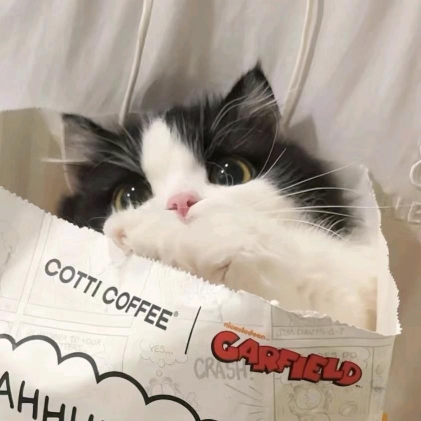 .EgoistInGrace⚜️