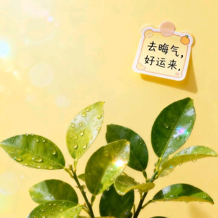 大大良心杂货铺