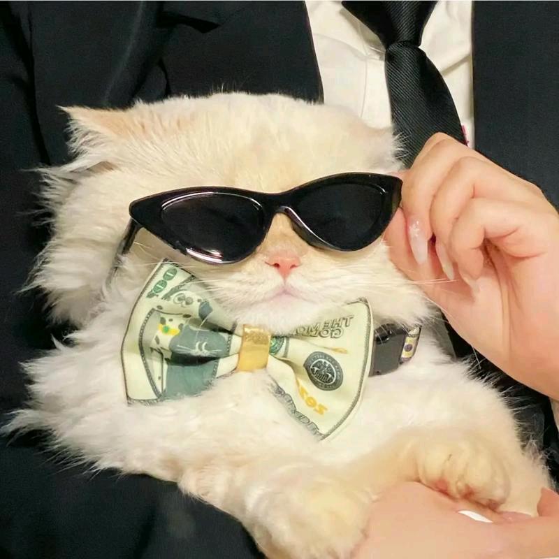 云南千古情国旅-陈陈