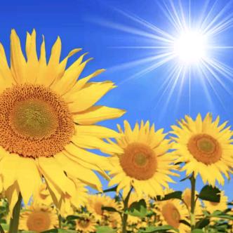 天地人和🐎🐎🐎🐎🐎🐎🐎🐎