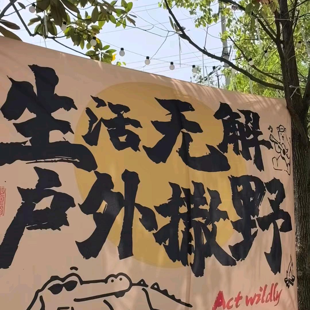 。。。。。。。