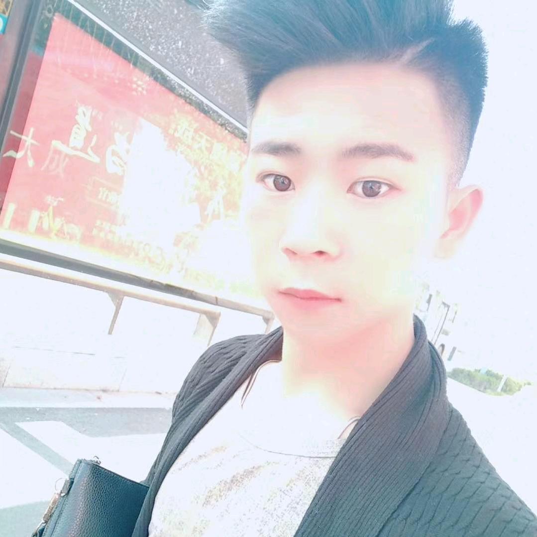 小晨宠物