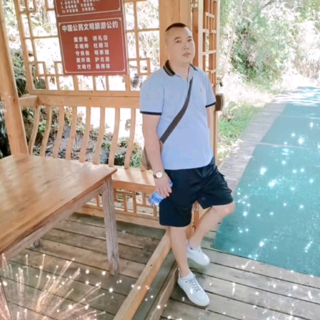 陆歌