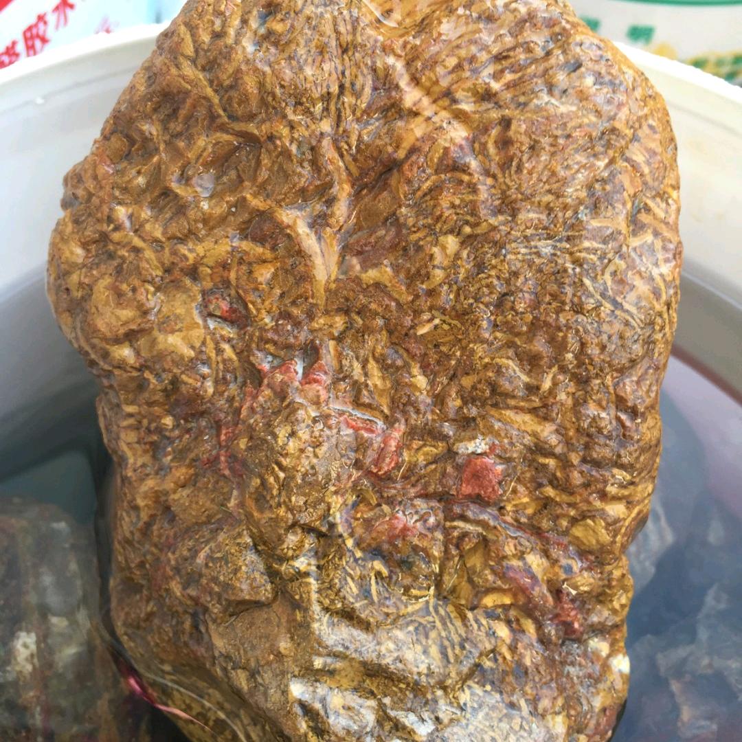石缘