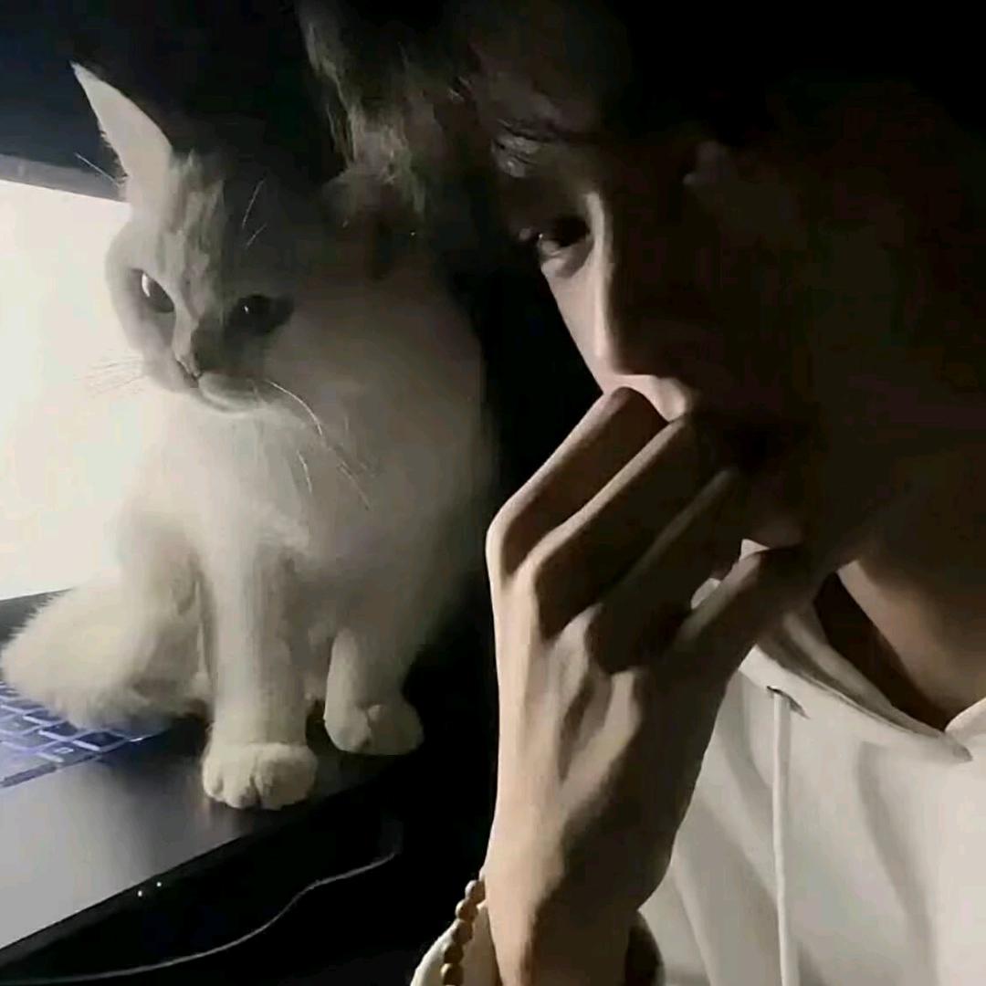 爱💓
