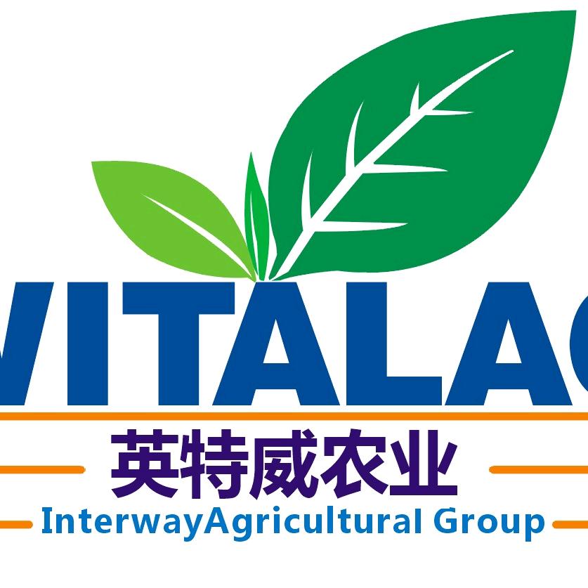 肉牛事业践行者