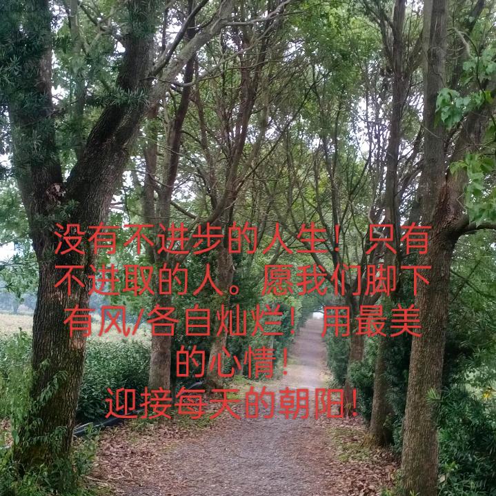 㥲夝