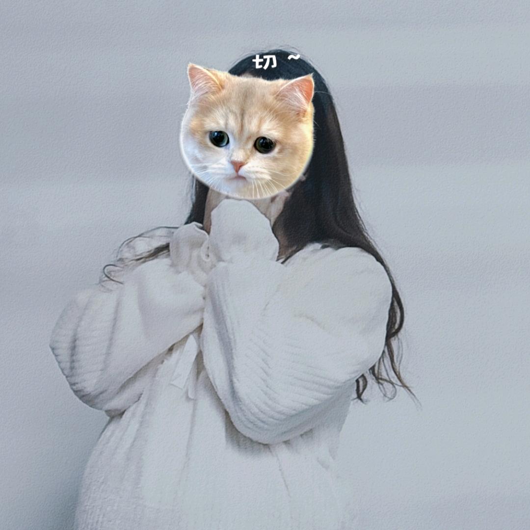 🥀🥀陆陆🥀🥀