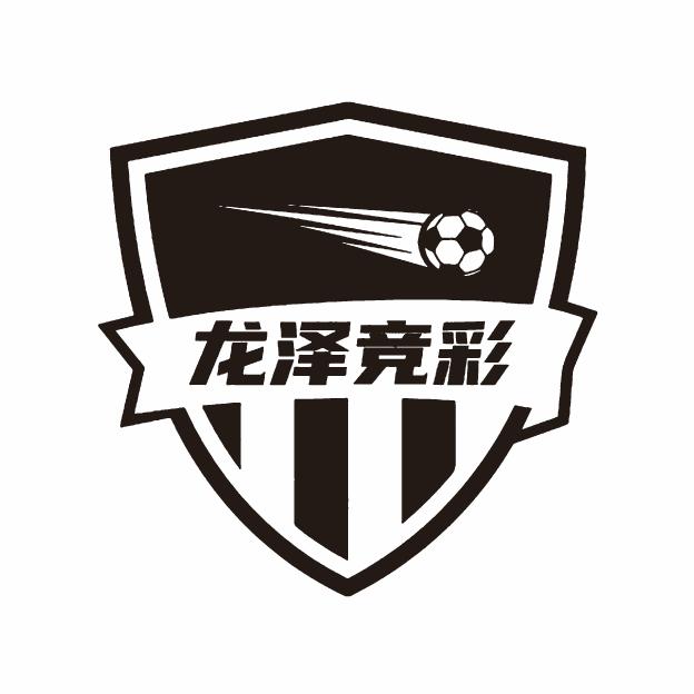 龙泽体彩