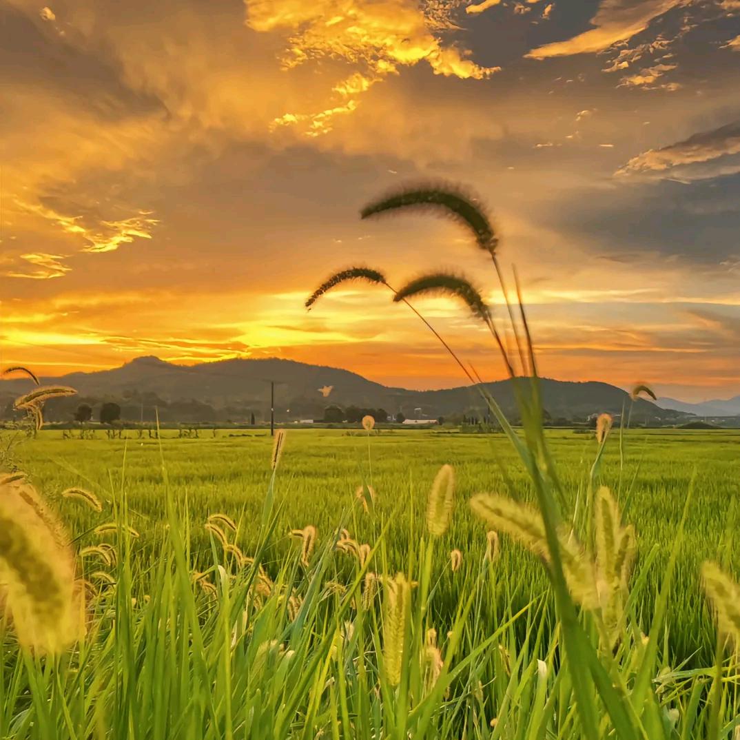 最熟悉的陌生人