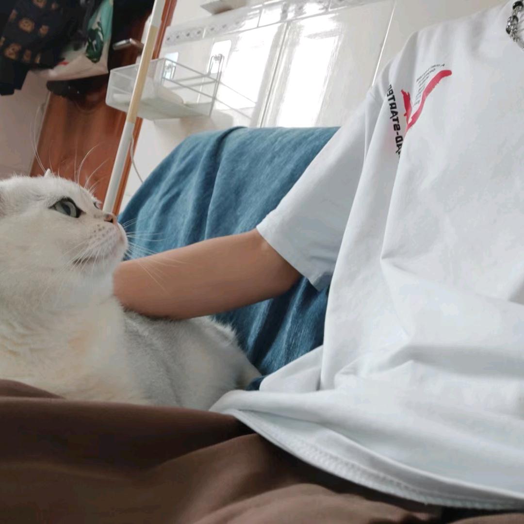 .陆丰随车吊