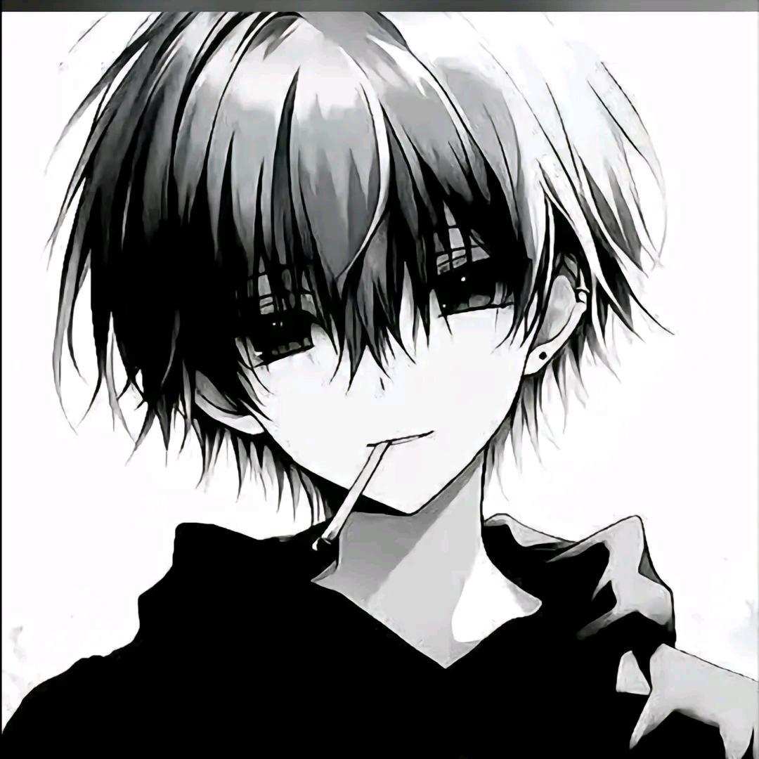 老杨带你玩全民