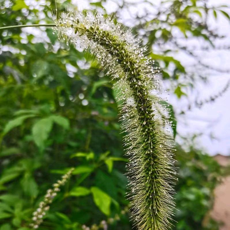 心一育儿育己小助手