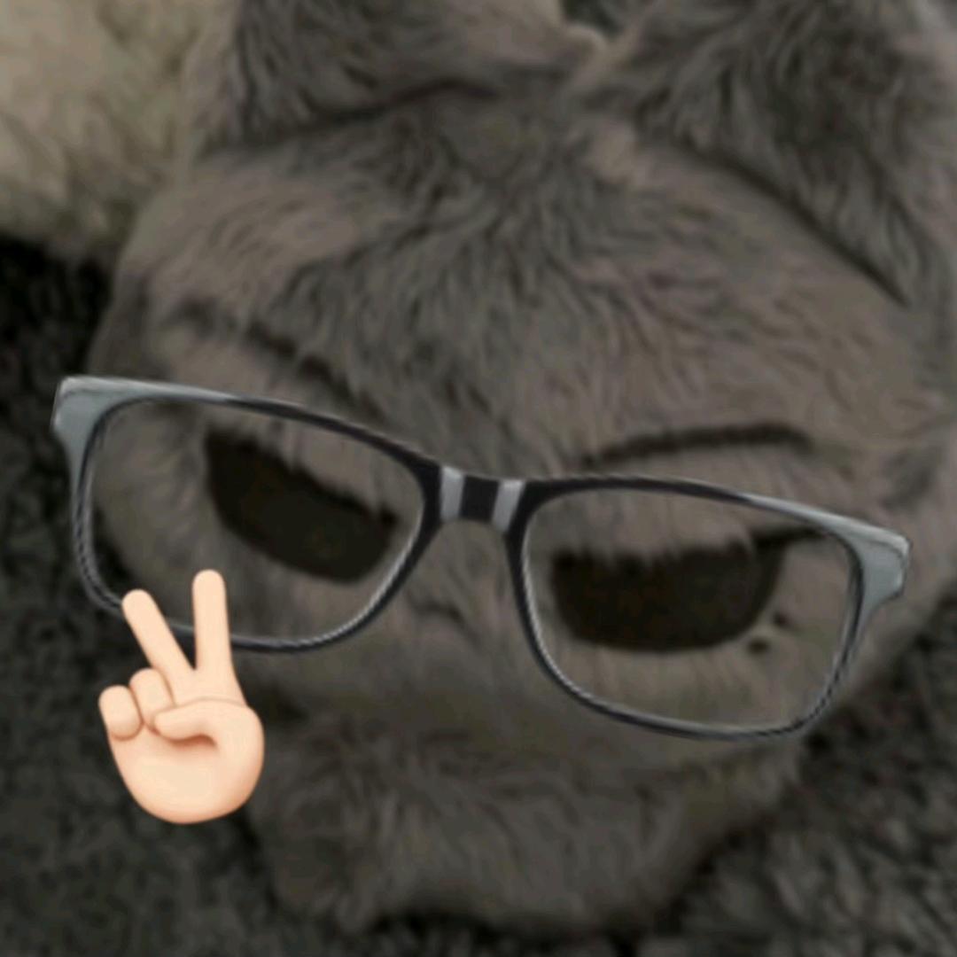 一看就是聪明人