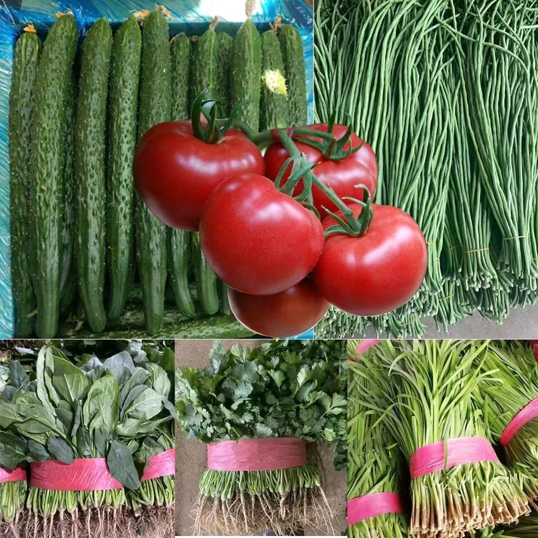 滑县鸿运农产品销售店