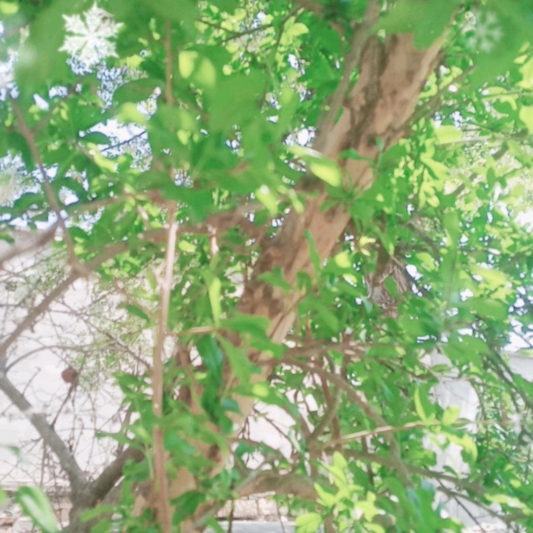 万里行空