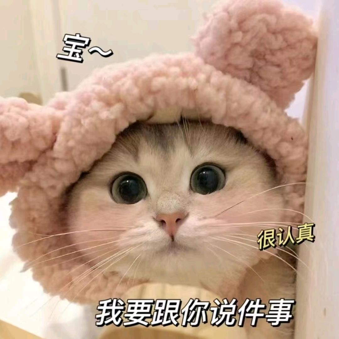 小皮科技