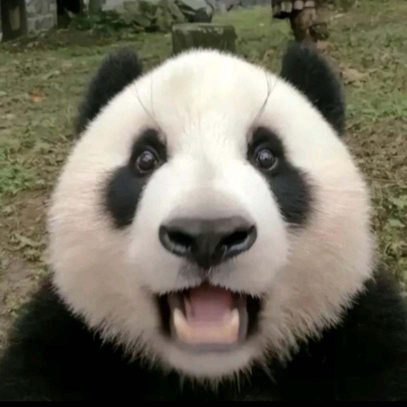 漫游白兔星球🌟