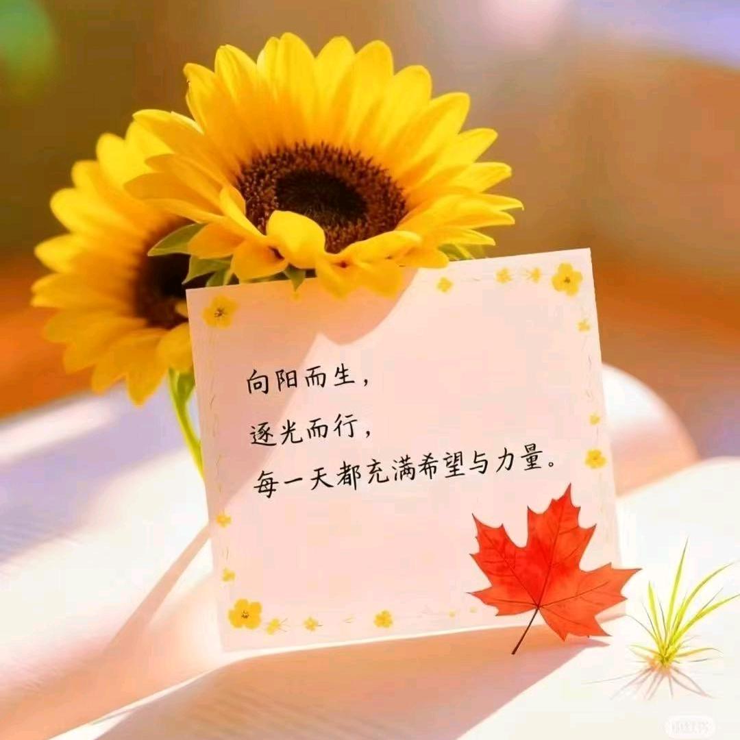 A佛缘善果