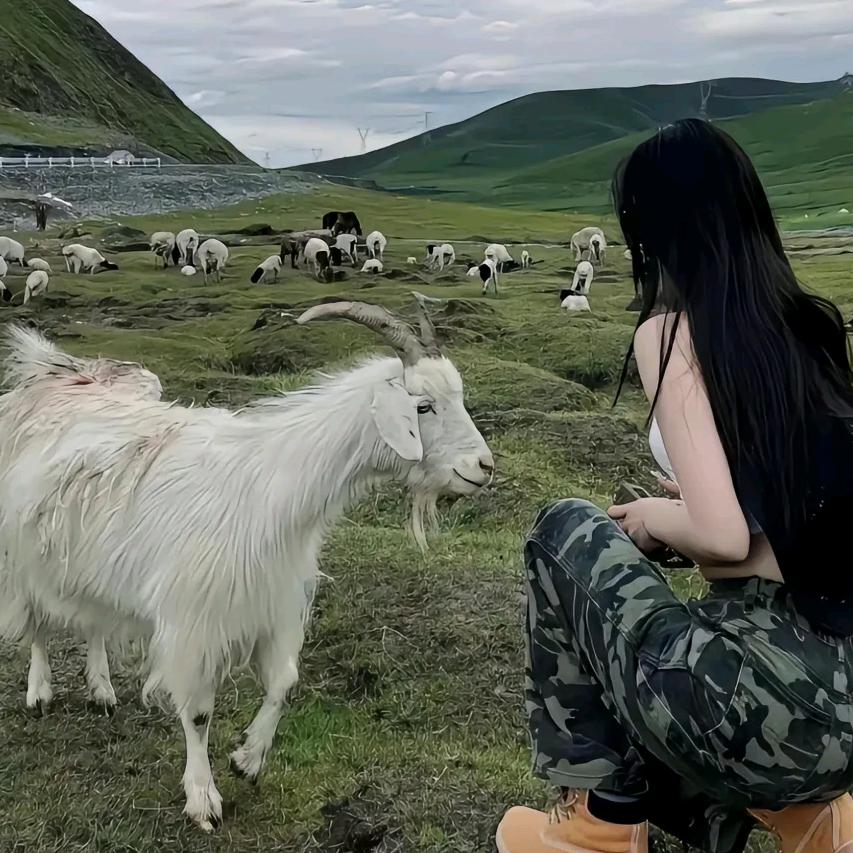 上海兹弗温实业有限公司！