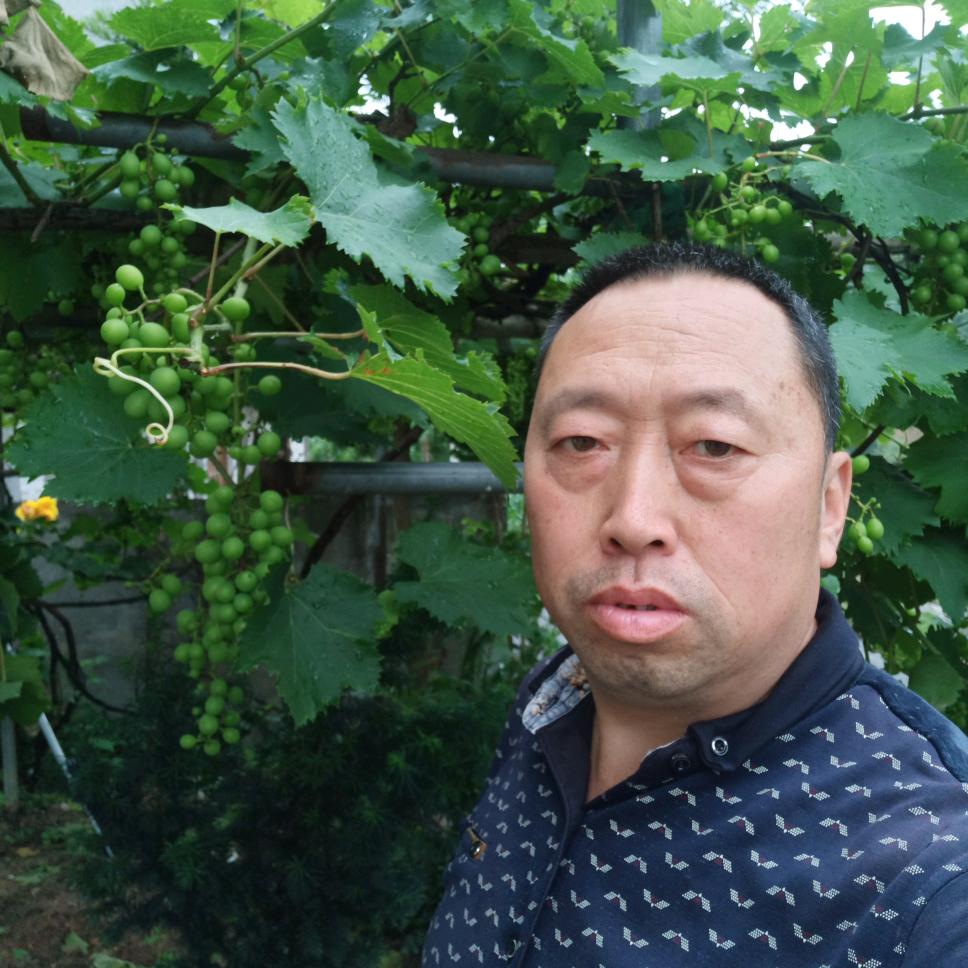 吴哥首播筹备中