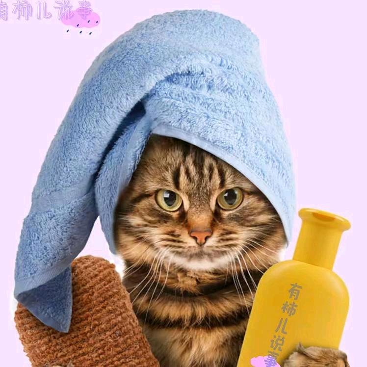 有柿儿说事